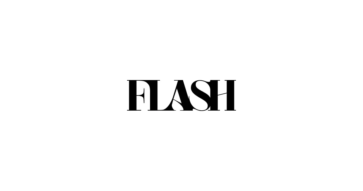 縦型ショートアニメ事業に挑むFLASH、シードラウンドで5億円調達